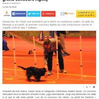 Agility concours Hesdin 68 chiens