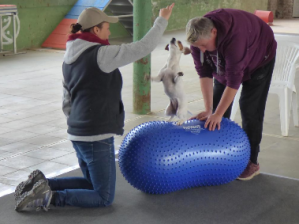 Proprioception initiation