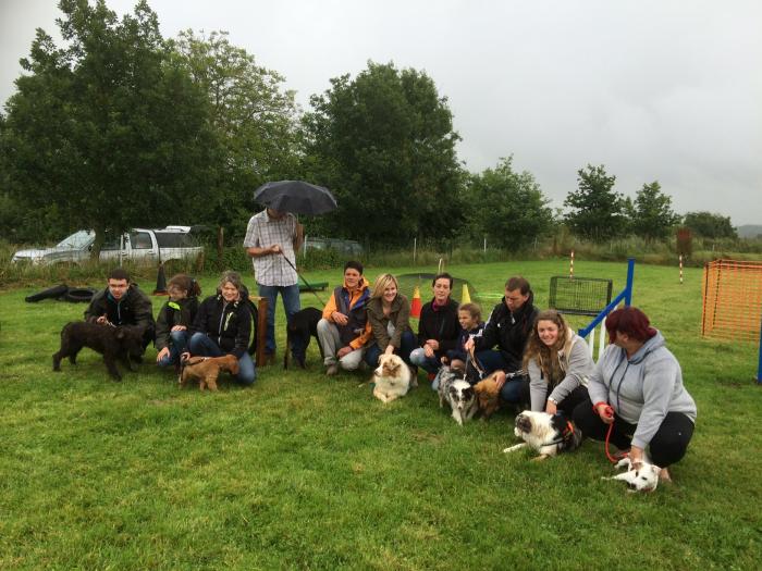 groupe des chiots